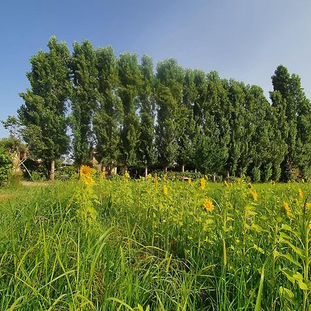 Apartament Fattoria Il Giardo Pietrasanta Zewnętrze zdjęcie