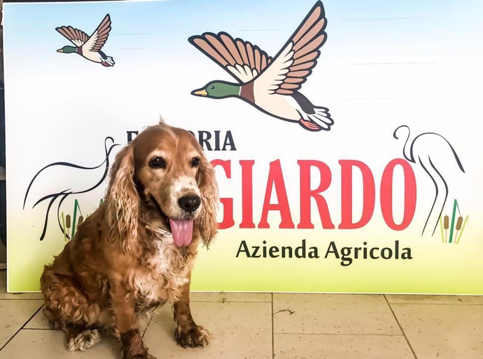 Apartament Fattoria Il Giardo Pietrasanta Zewnętrze zdjęcie
