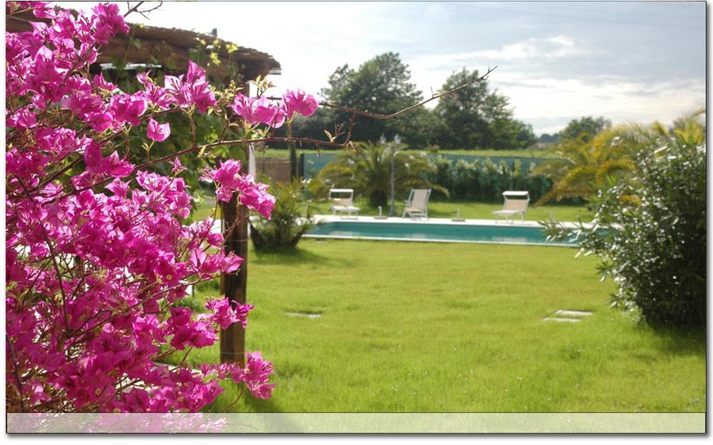 Apartament Fattoria Il Giardo Pietrasanta Zewnętrze zdjęcie