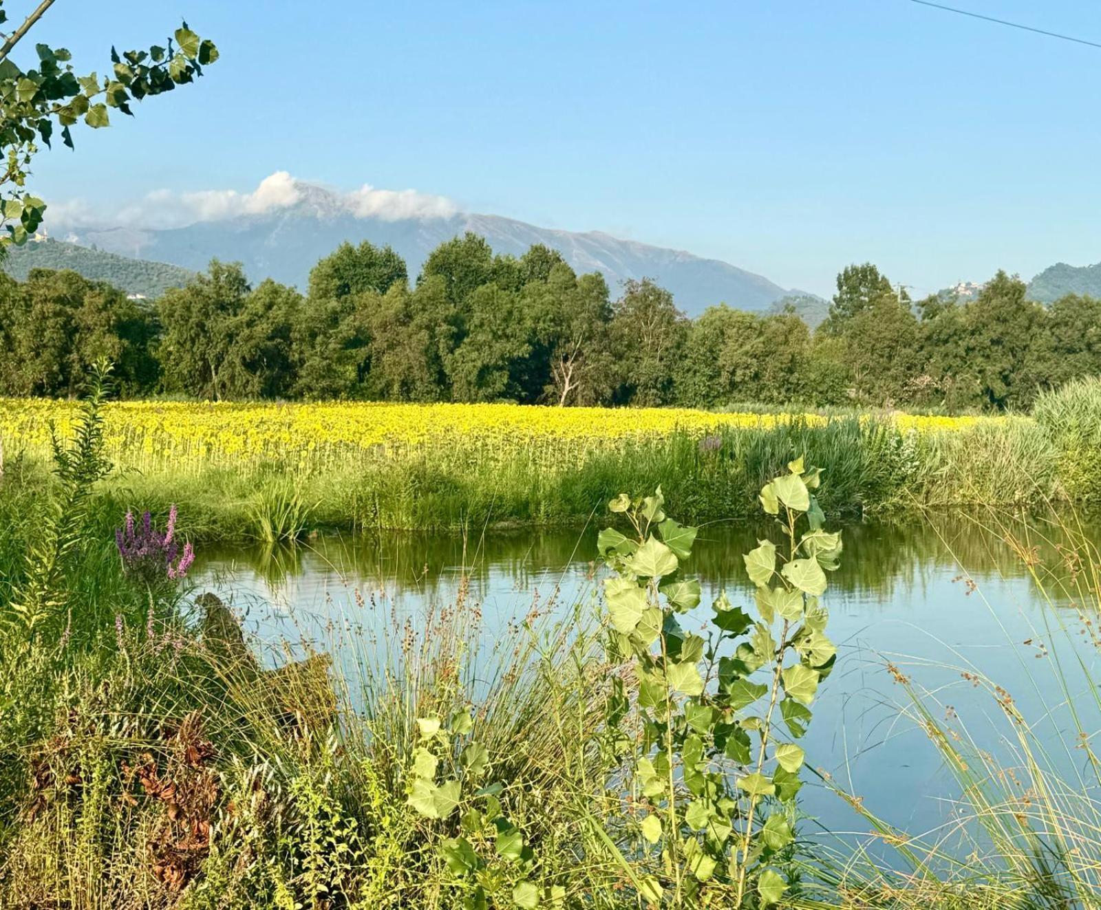 Apartament Fattoria Il Giardo Pietrasanta Zewnętrze zdjęcie