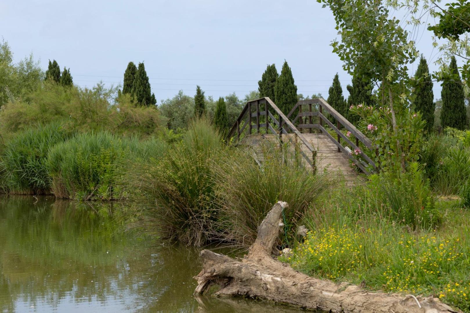 Apartament Fattoria Il Giardo Pietrasanta Zewnętrze zdjęcie