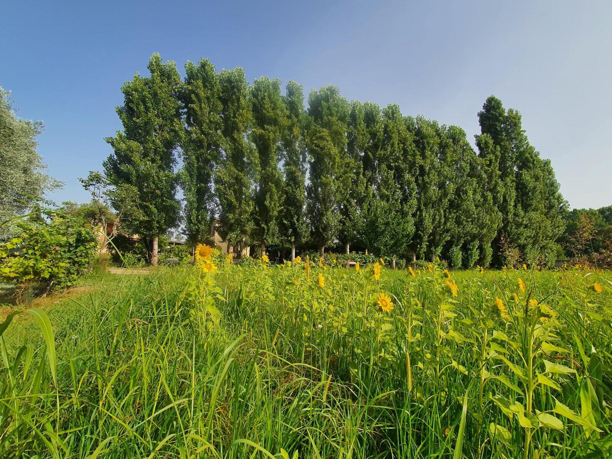 Apartament Fattoria Il Giardo Pietrasanta Zewnętrze zdjęcie