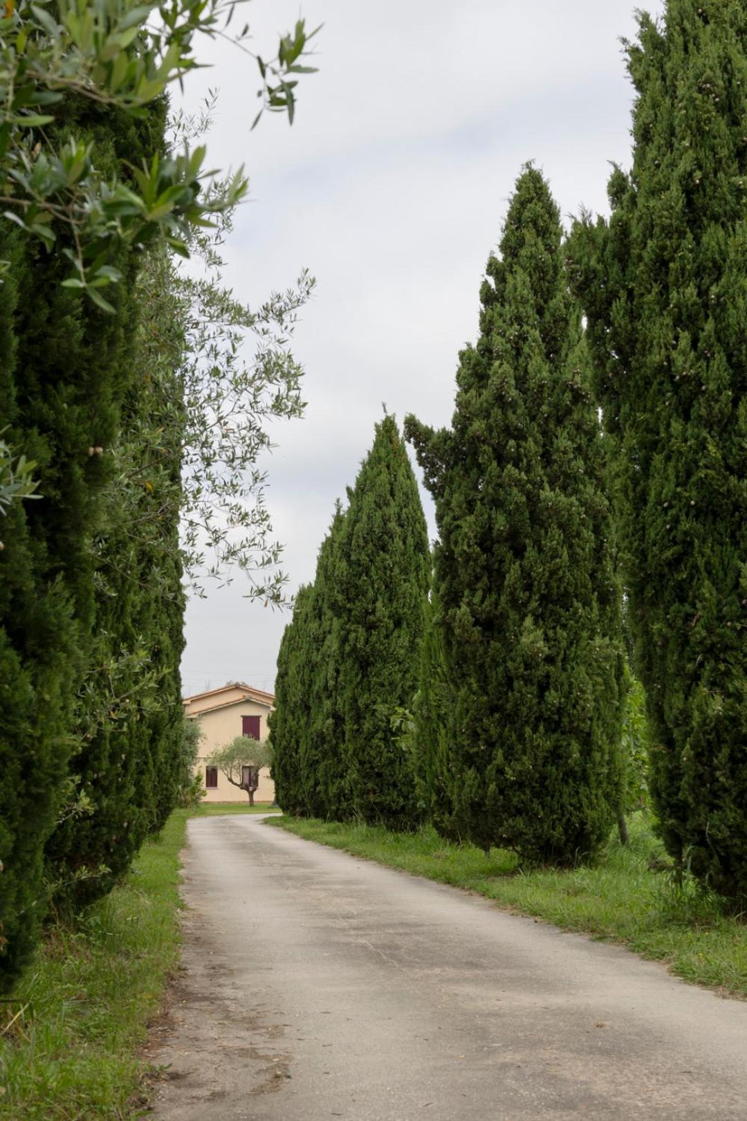 Apartament Fattoria Il Giardo Pietrasanta Zewnętrze zdjęcie